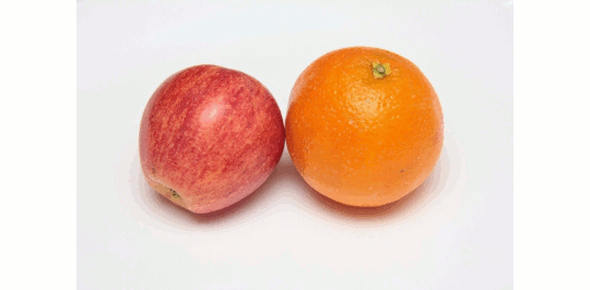 リンゴとみかん二種類の視点を持つ事